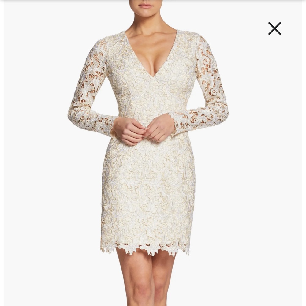 dress the population women's lace dress size XS